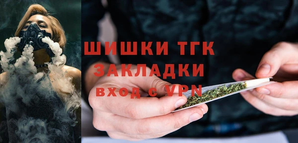 индика Богданович