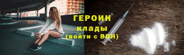 индика Богданович
