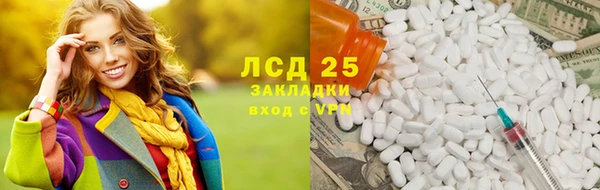 индика Богданович