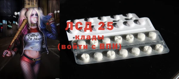 индика Богданович