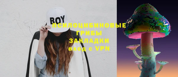 индика Богданович