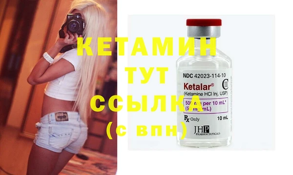индика Богданович
