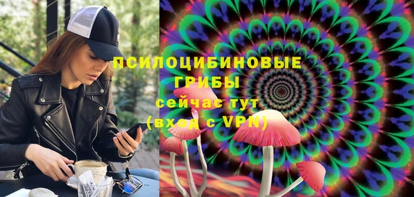 прущий лед Богородск