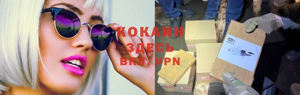 индика Богданович