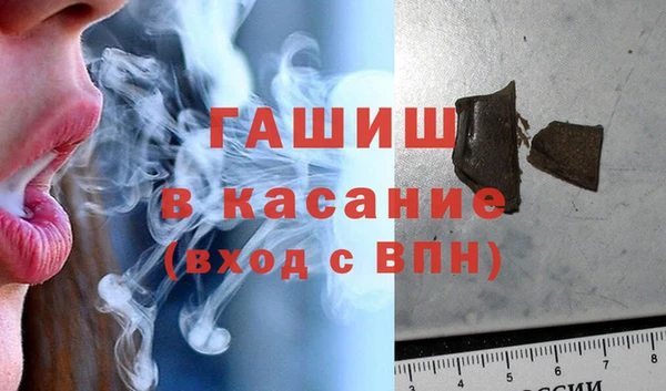 индика Богданович