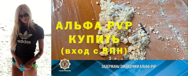 индика Богданович
