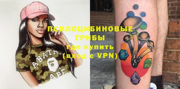 индика Богданович