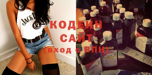 индика Богданович