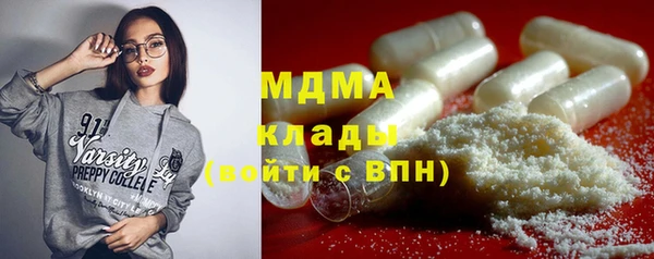 индика Богданович