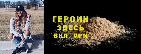 индика Богданович