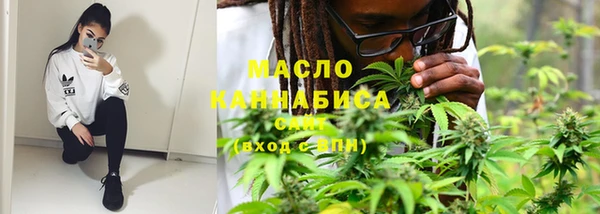 индика Богданович