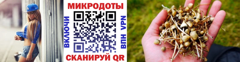 нарко площадка как зайти  Козьмодемьянск  Галлюциногенные грибы Cubensis  KRAKEN ссылка 